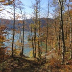 Herbst am Wolfgangsee